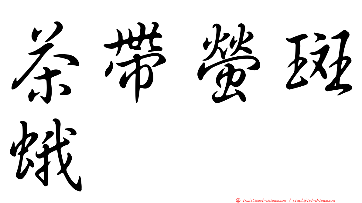 茶帶螢斑蛾