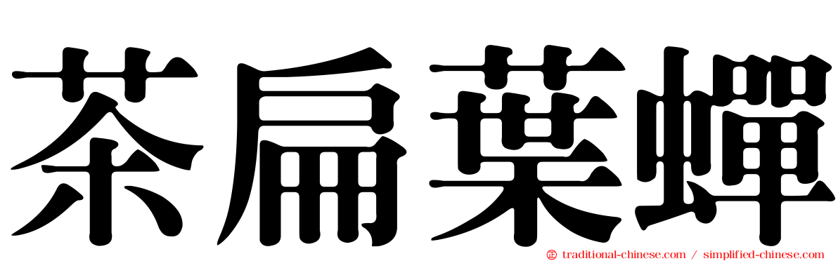 茶扁葉蟬