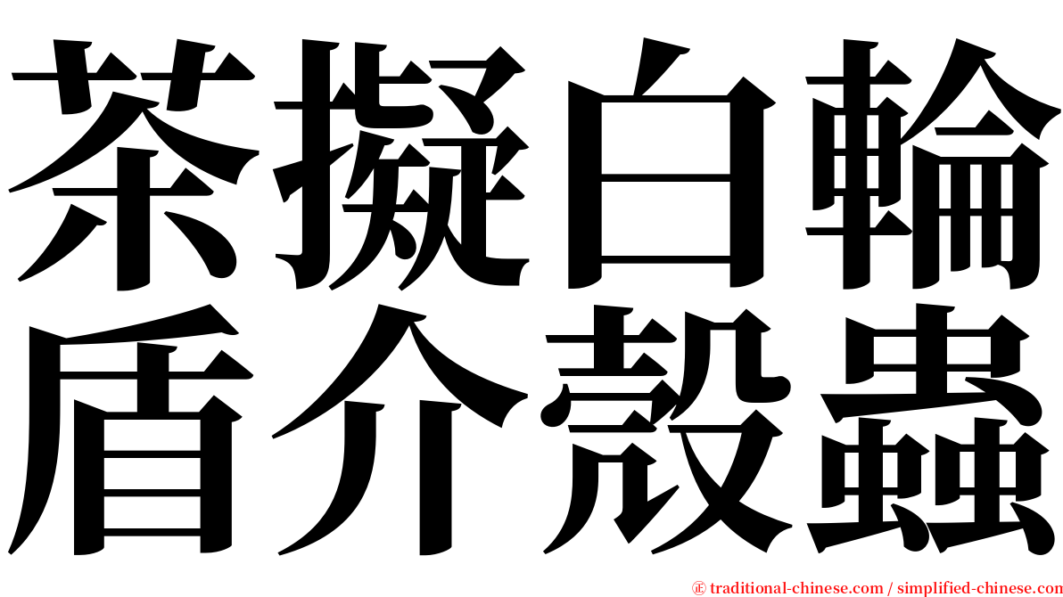 茶擬白輪盾介殼蟲 serif font