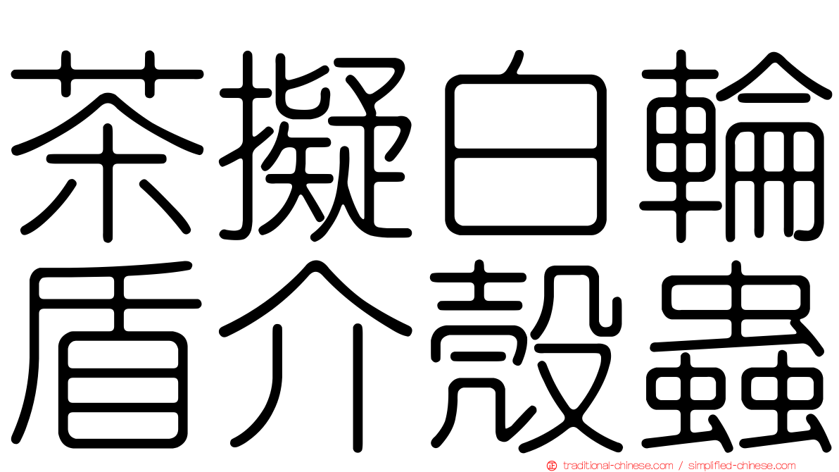 茶擬白輪盾介殼蟲