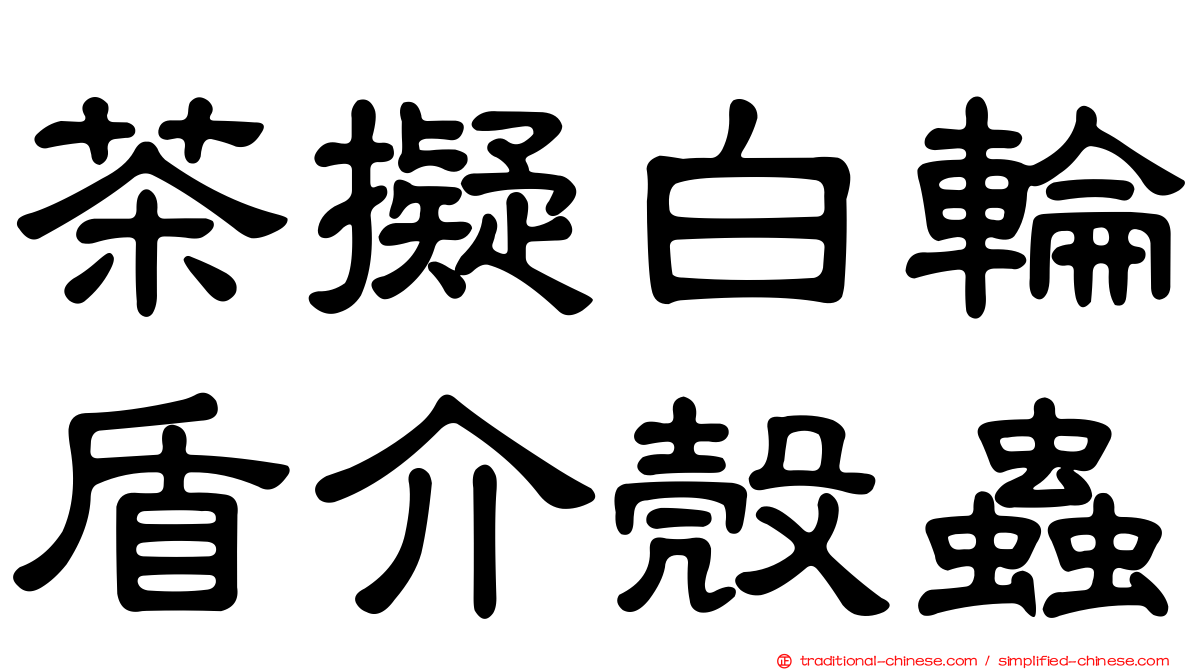 茶擬白輪盾介殼蟲