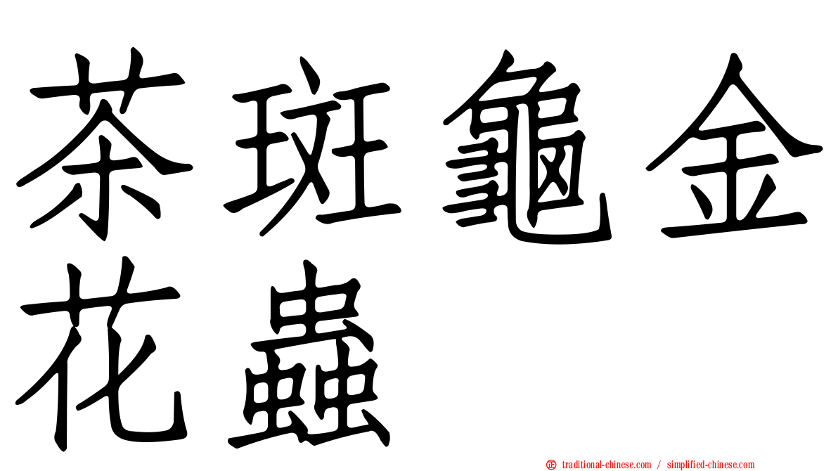 茶斑龜金花蟲