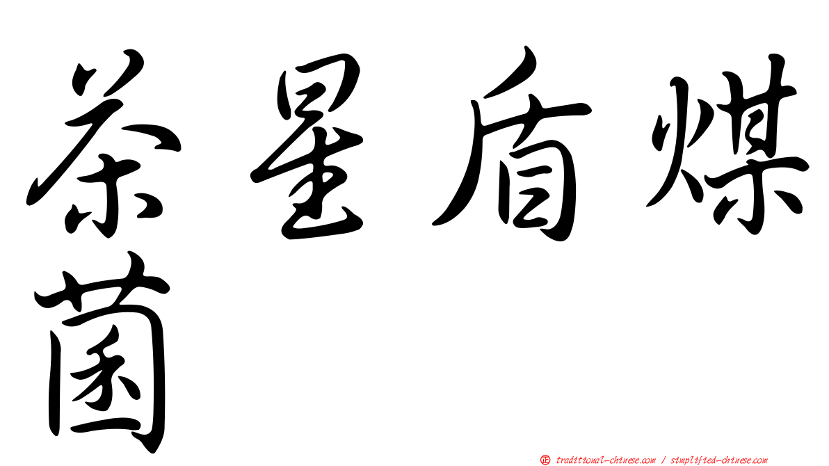 茶星盾煤菌