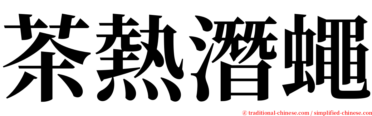 茶熱潛蠅 serif font