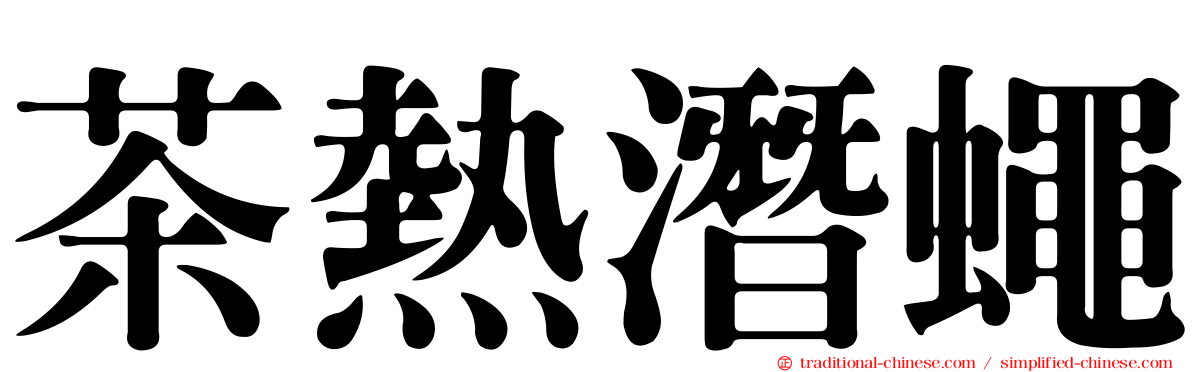 茶熱潛蠅
