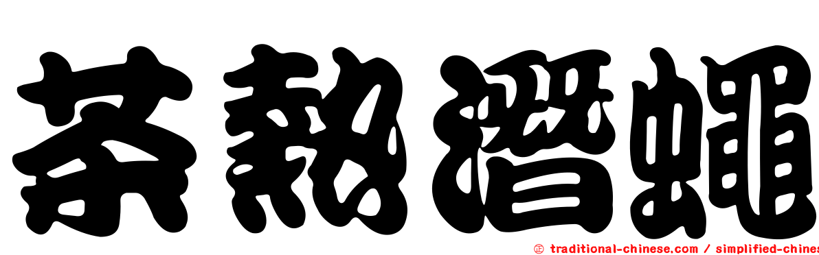 茶熱潛蠅