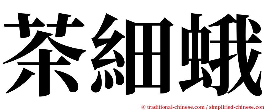 茶細蛾 serif font