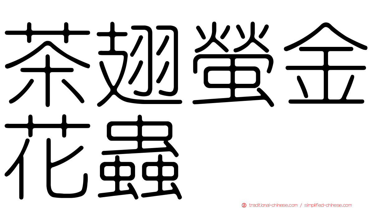 茶翅螢金花蟲