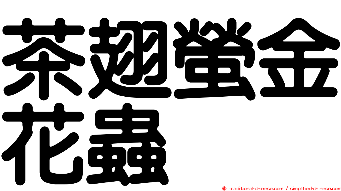 茶翅螢金花蟲