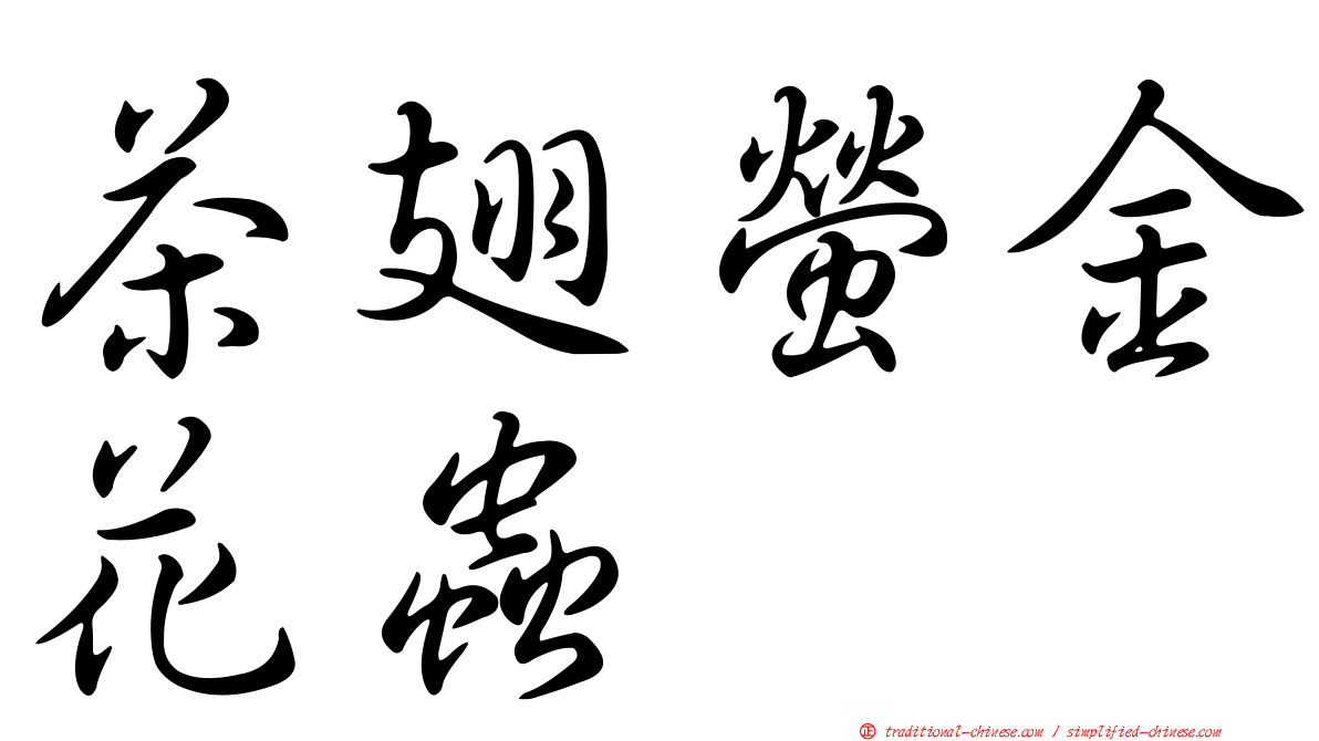 茶翅螢金花蟲