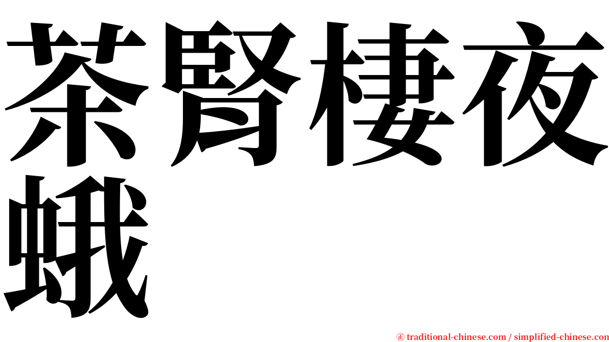 茶腎棲夜蛾 serif font