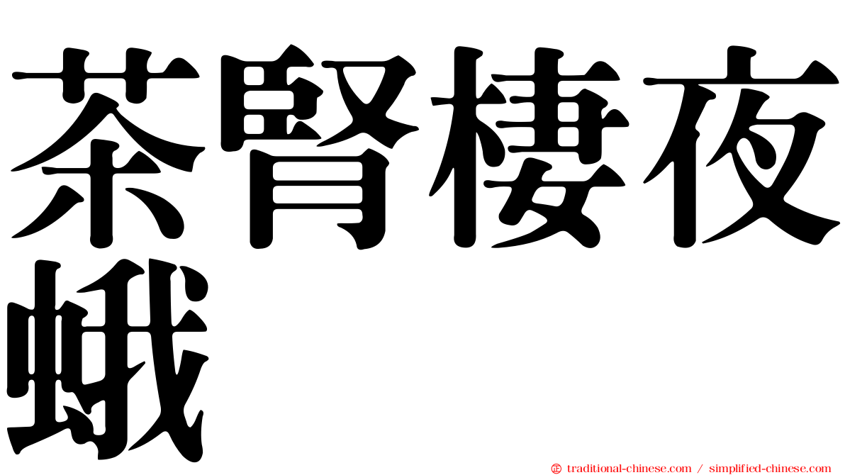 茶腎棲夜蛾