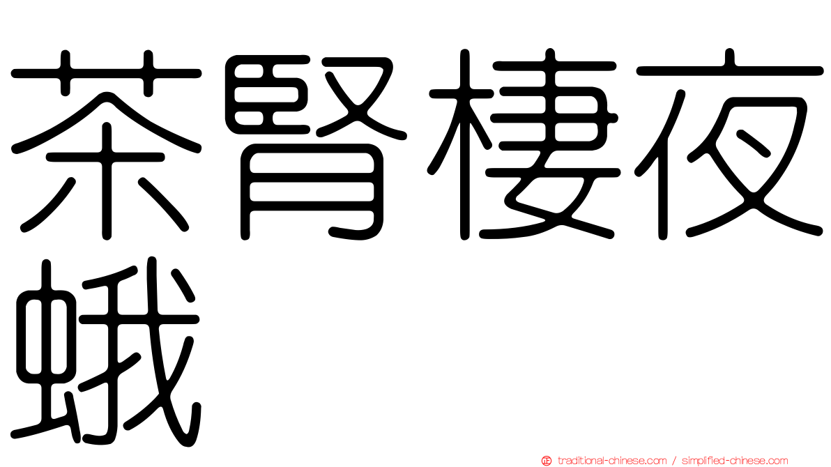 茶腎棲夜蛾