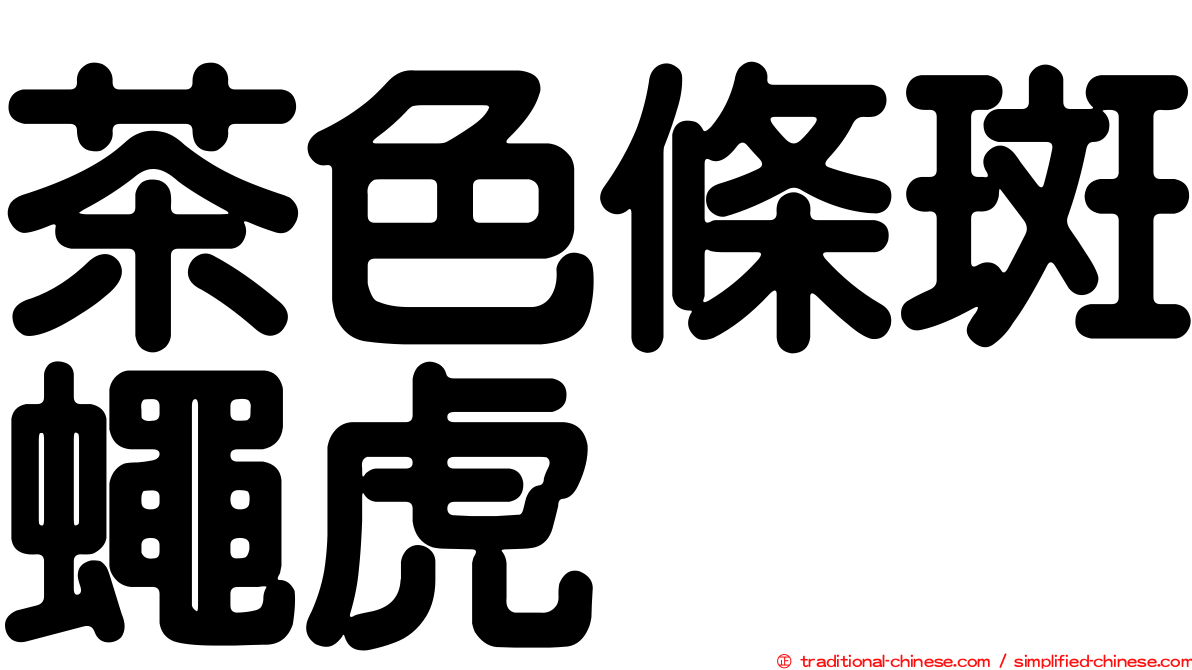 茶色條斑蠅虎