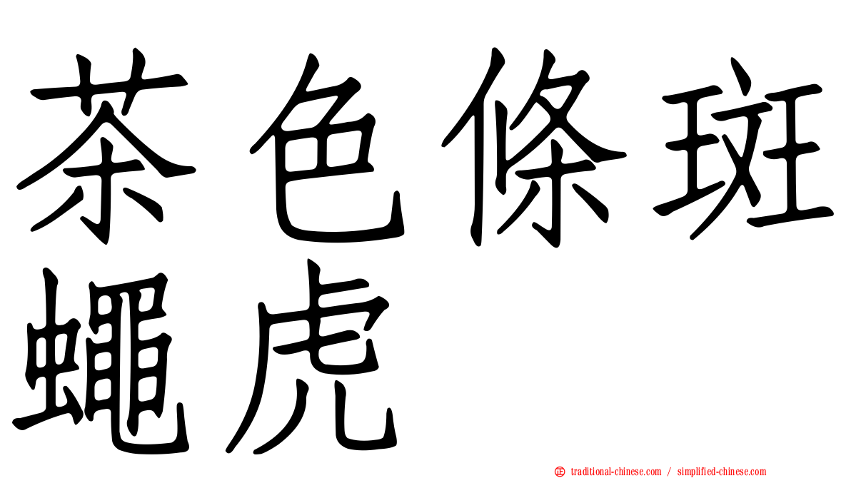 茶色條斑蠅虎