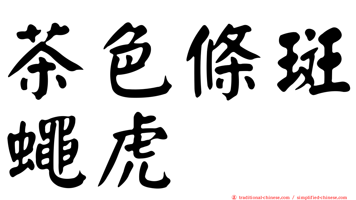 茶色條斑蠅虎