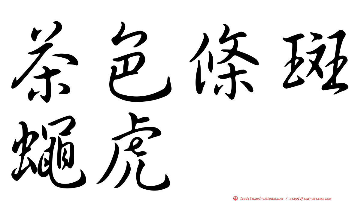 茶色條斑蠅虎