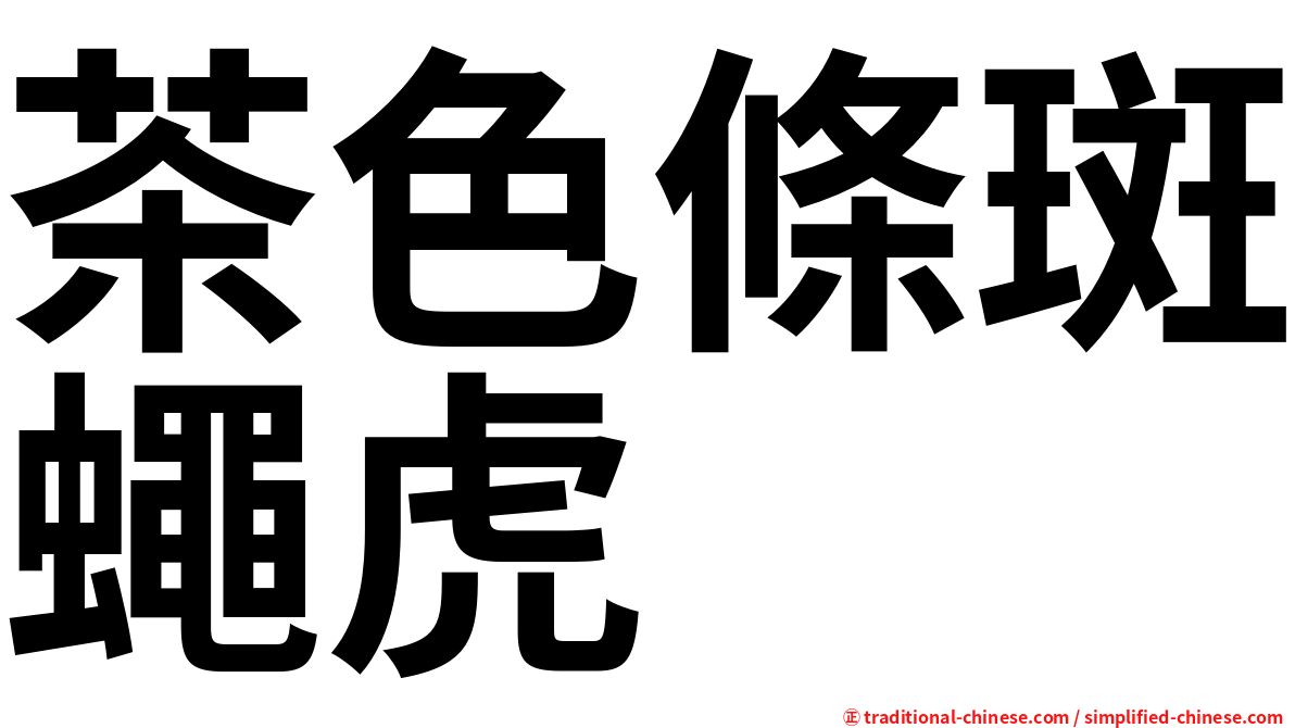 茶色條斑蠅虎