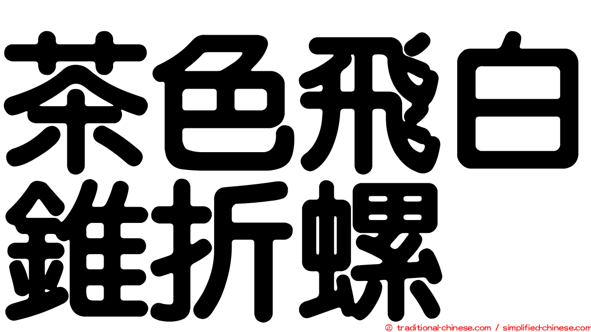 茶色飛白錐折螺