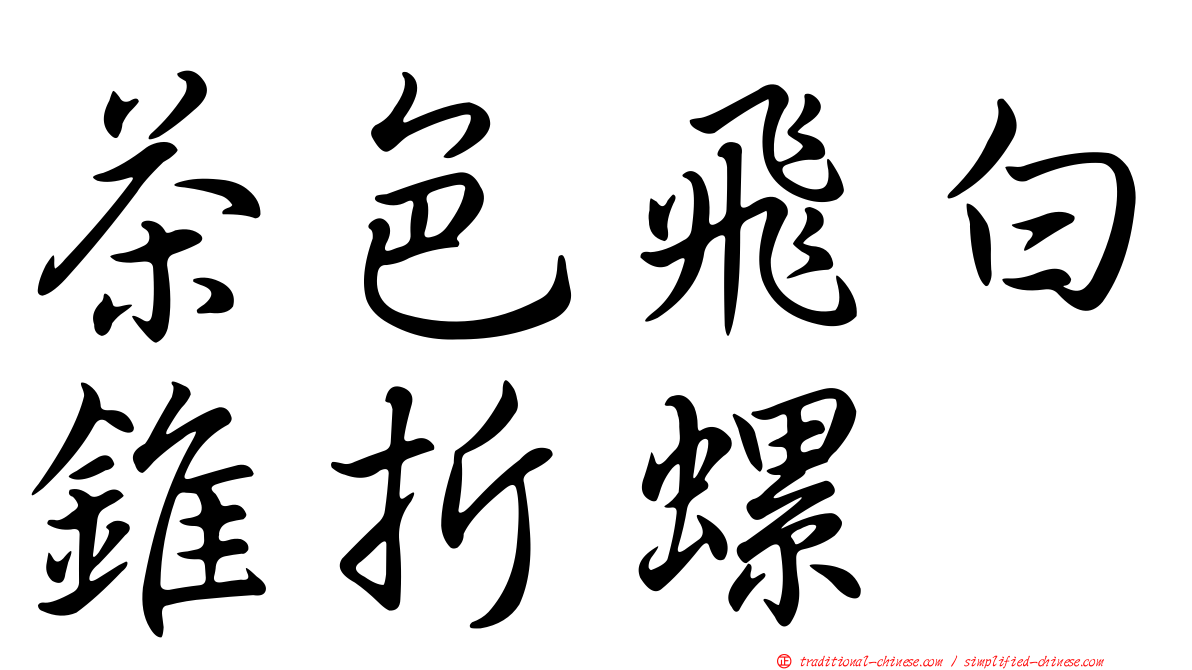 茶色飛白錐折螺