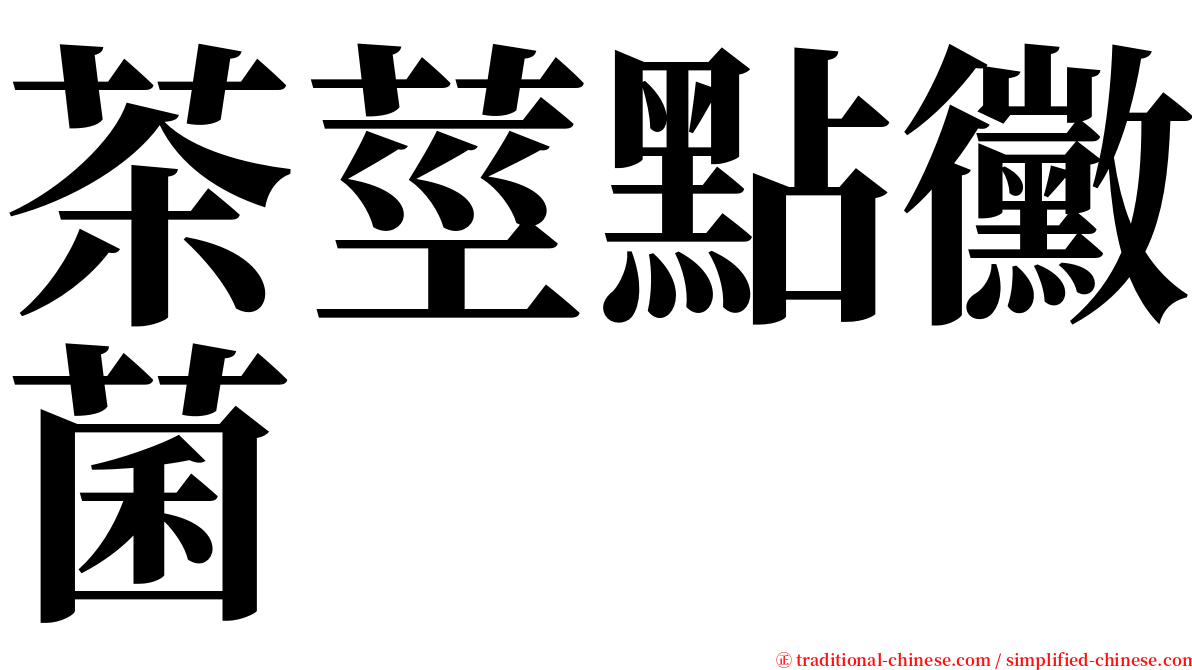 茶莖點黴菌 serif font