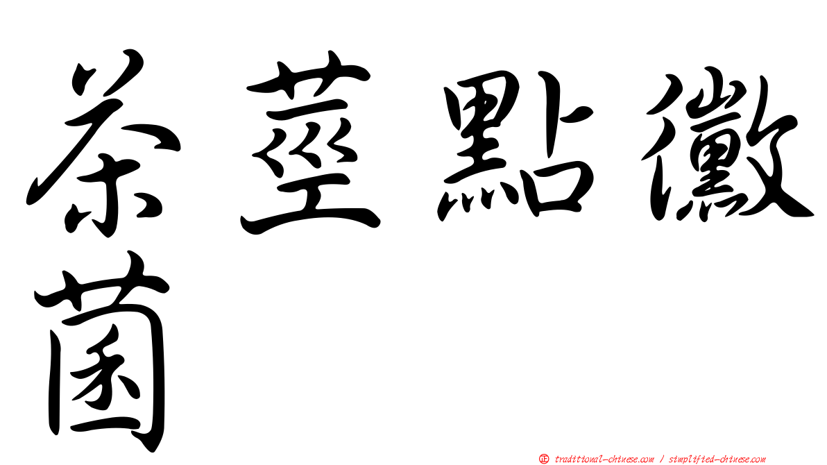 茶莖點黴菌