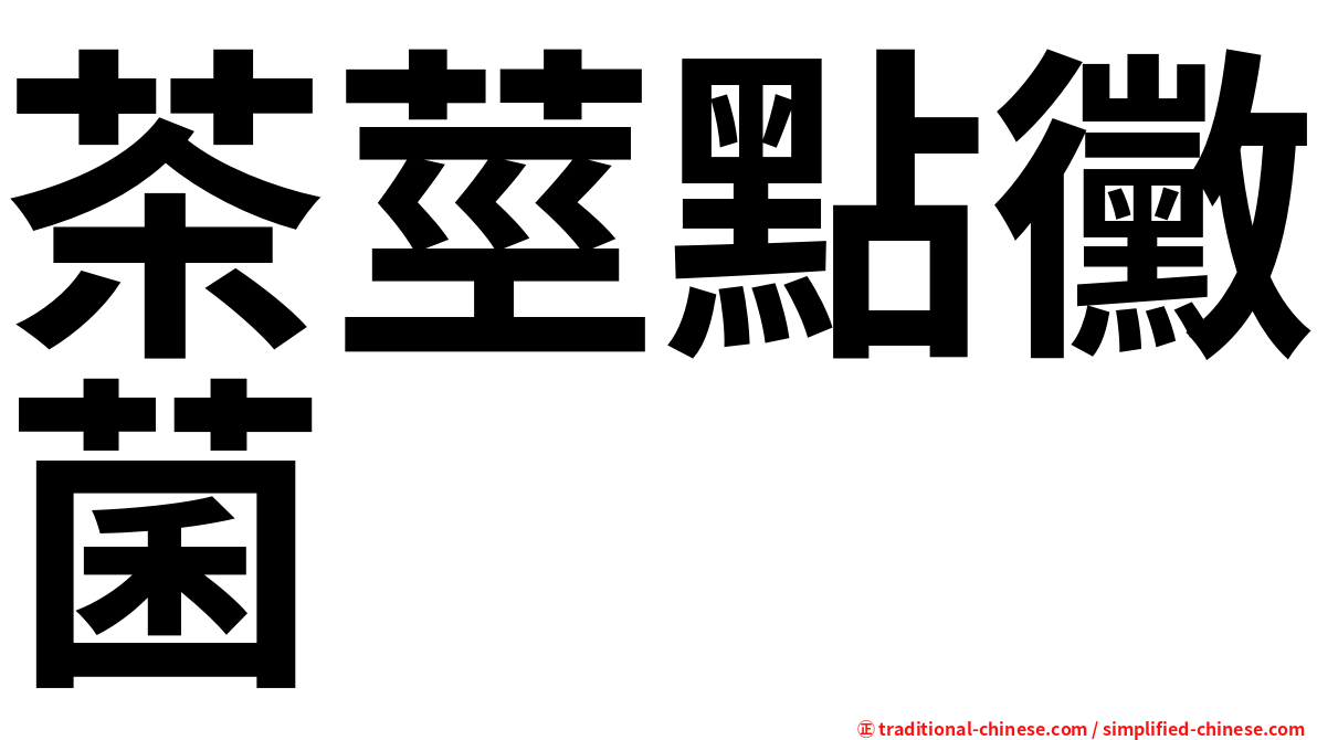 茶莖點黴菌