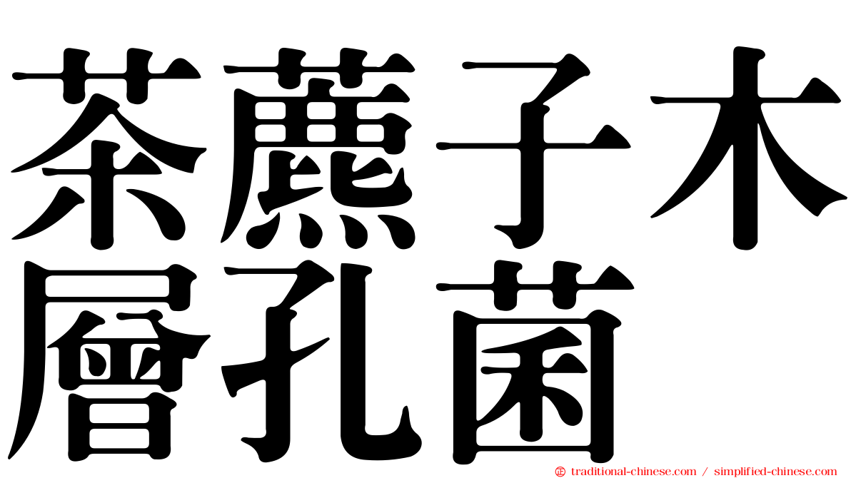 茶藨子木層孔菌