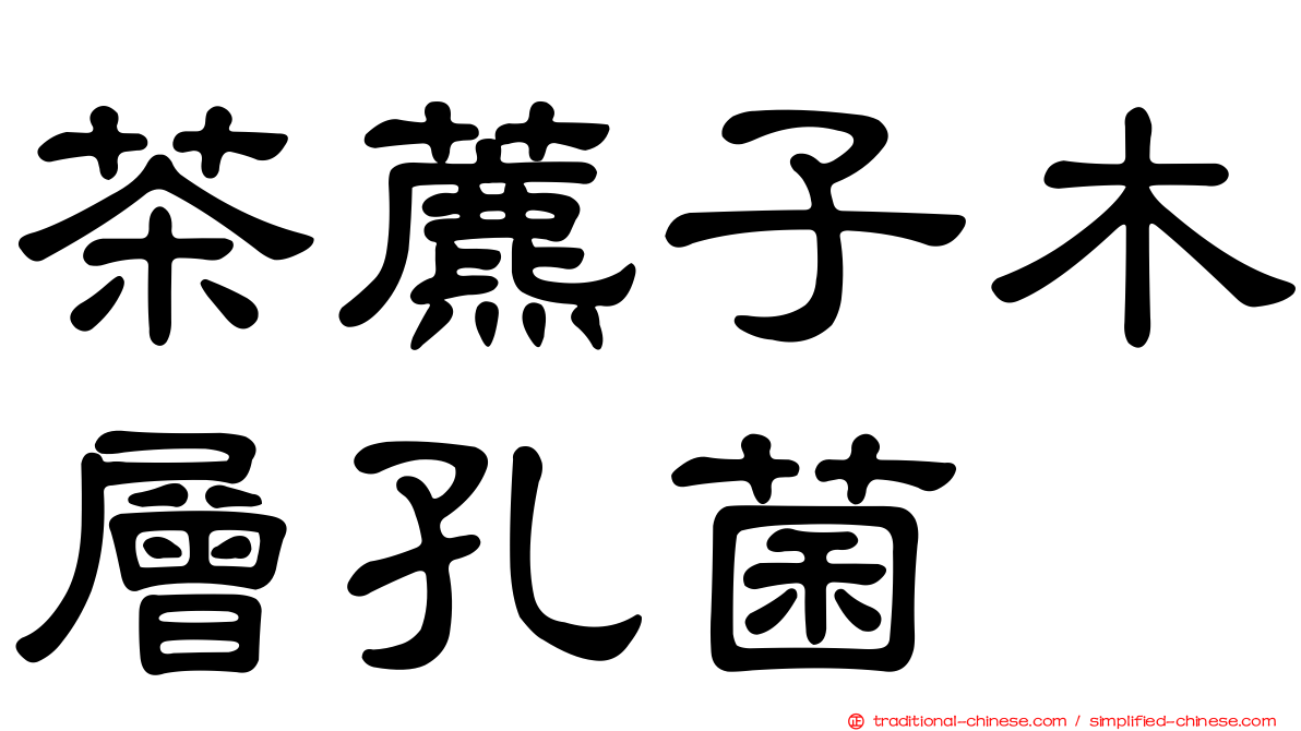 茶藨子木層孔菌