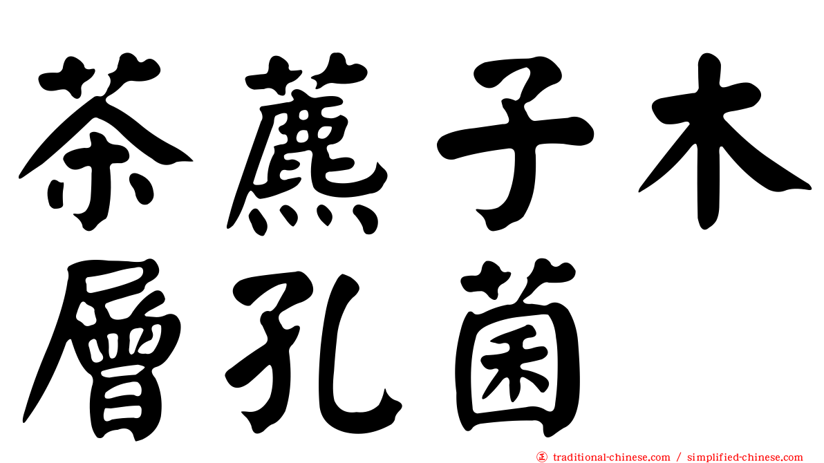 茶藨子木層孔菌