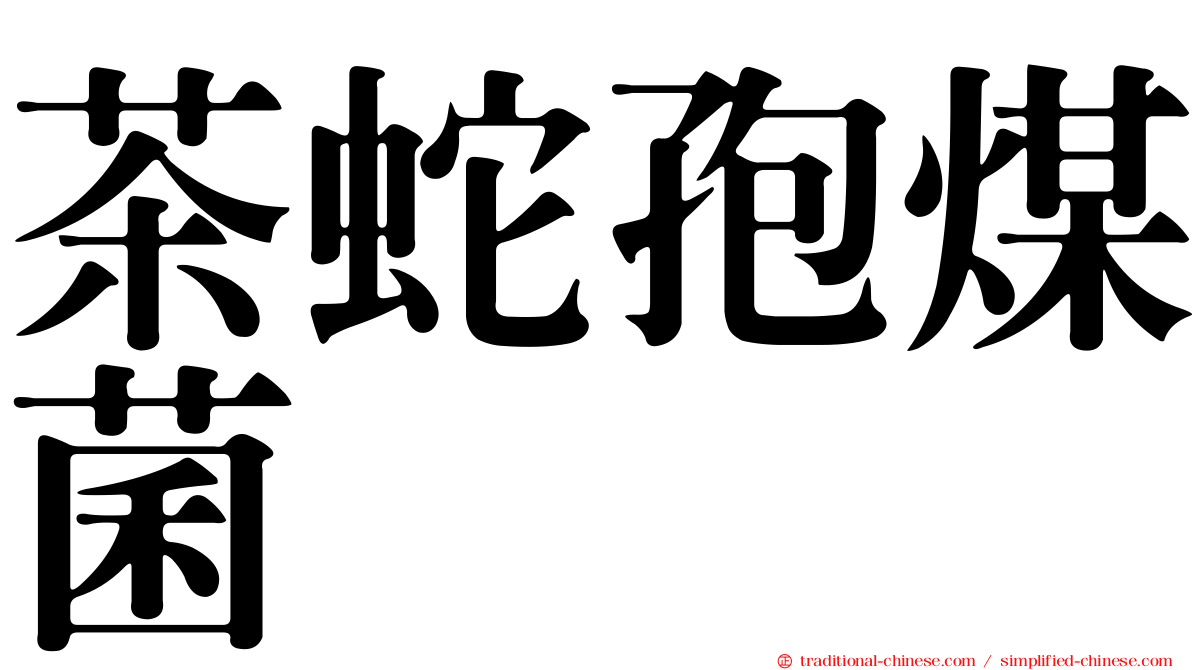 茶蛇孢煤菌