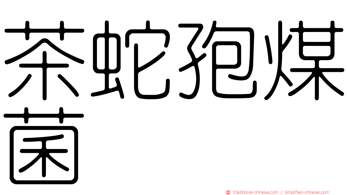 茶蛇孢煤菌