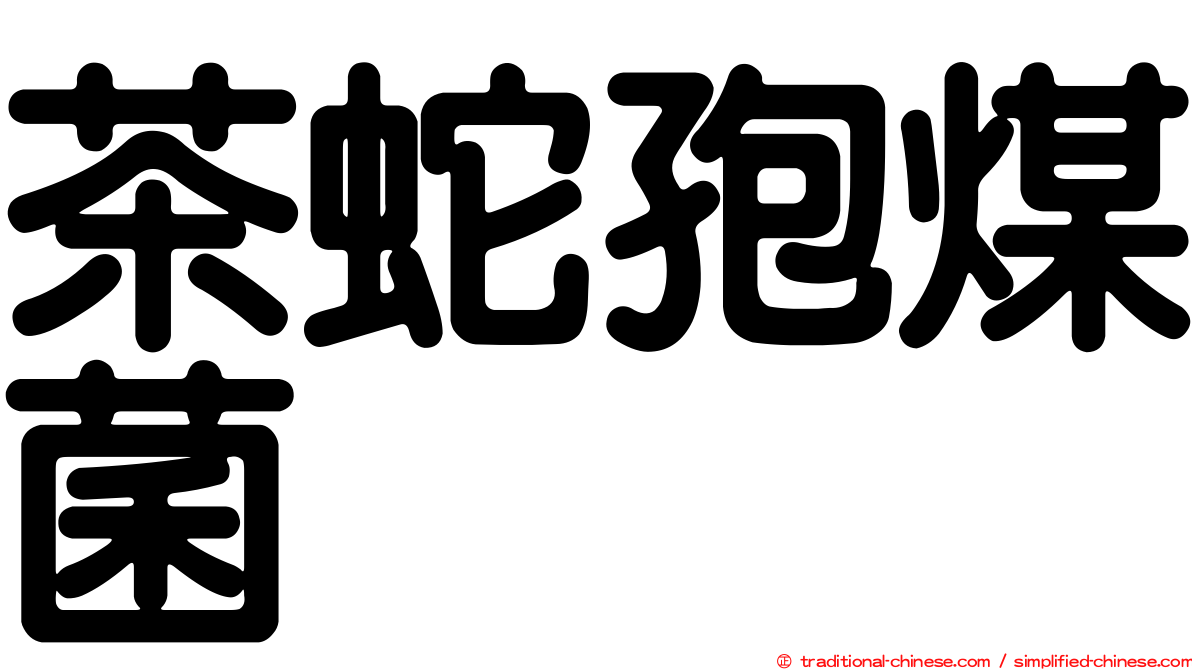 茶蛇孢煤菌