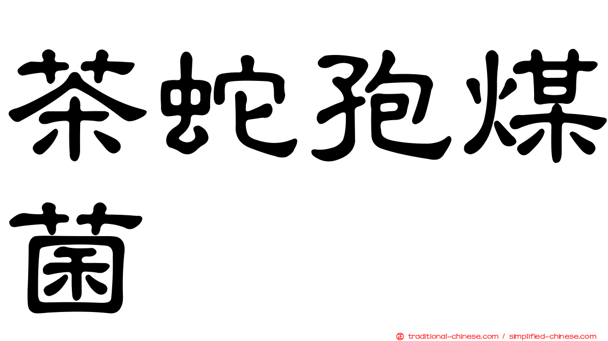 茶蛇孢煤菌