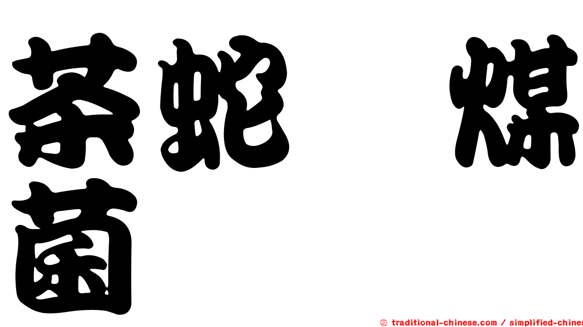 茶蛇孢煤菌