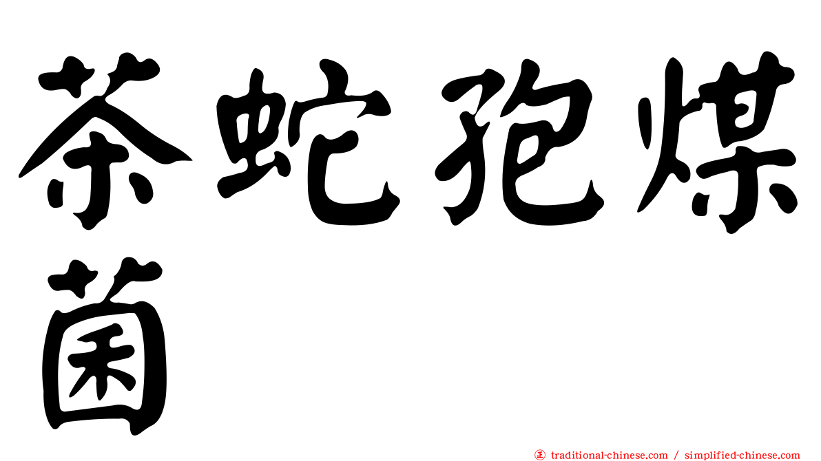 茶蛇孢煤菌