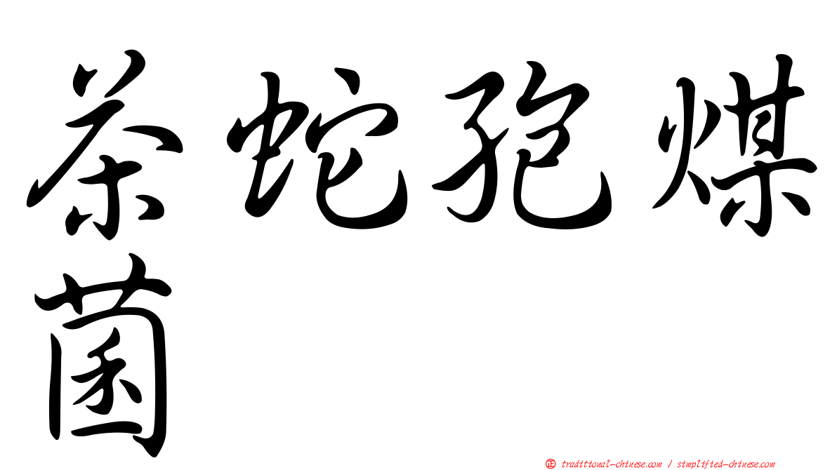 茶蛇孢煤菌
