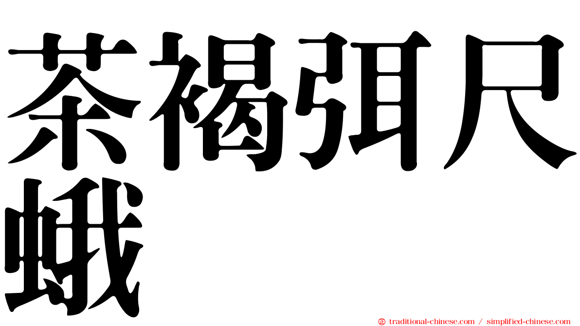 茶褐弭尺蛾