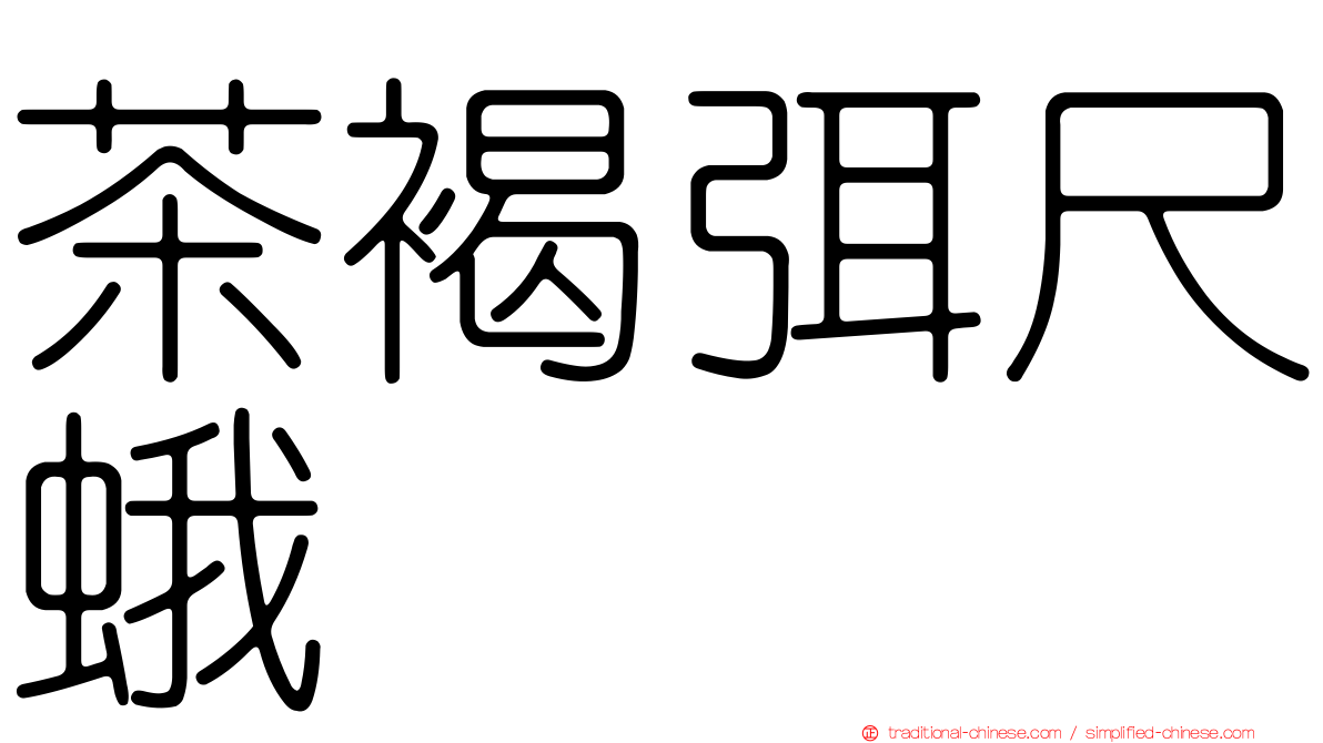 茶褐弭尺蛾
