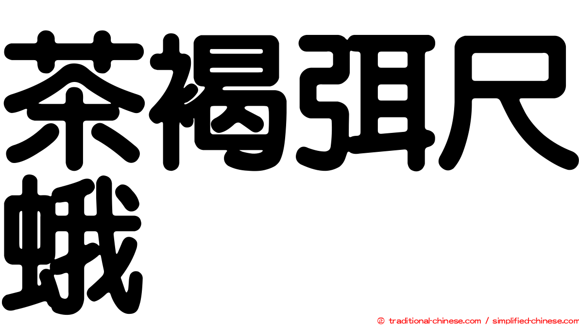 茶褐弭尺蛾
