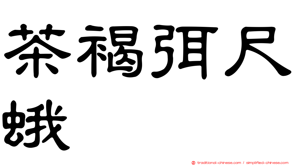 茶褐弭尺蛾