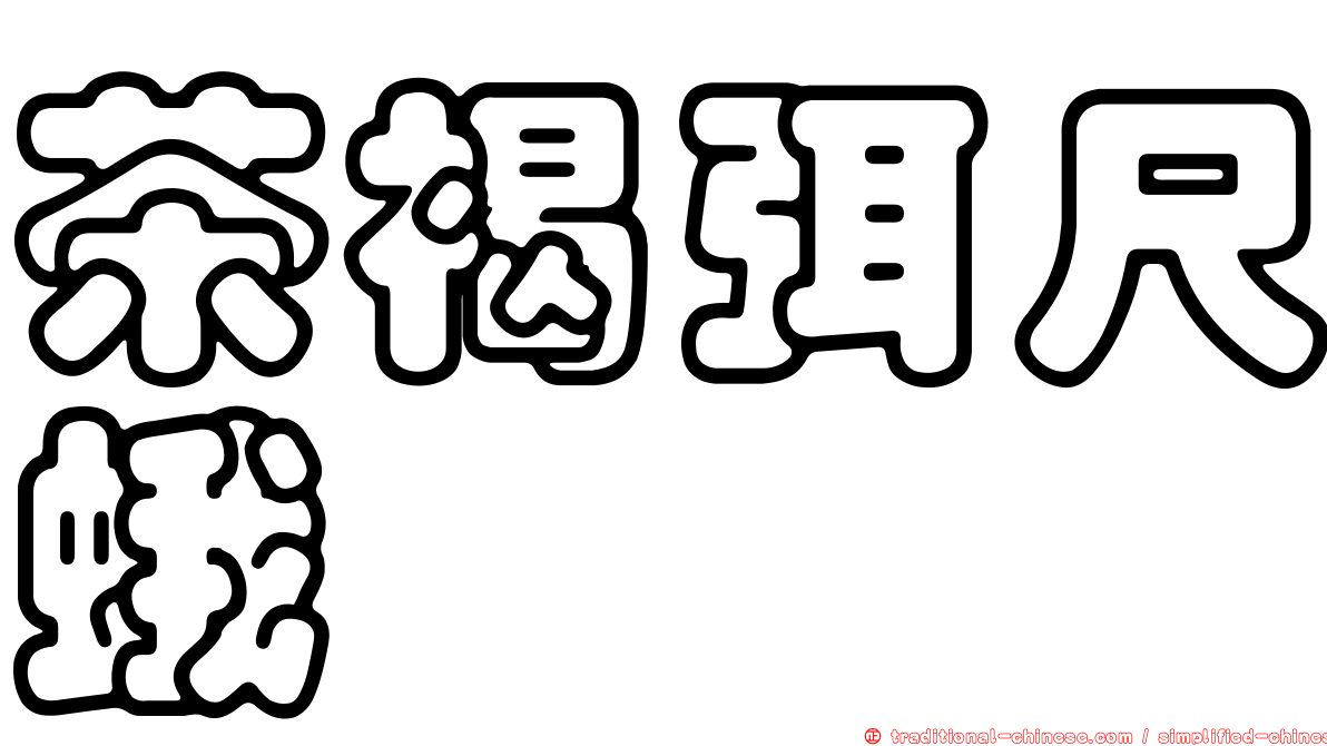 茶褐弭尺蛾