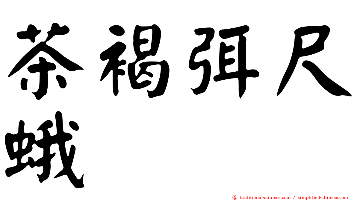 茶褐弭尺蛾