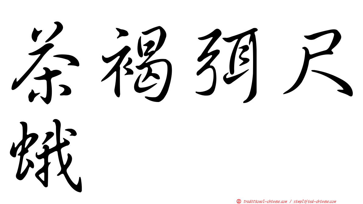 茶褐弭尺蛾