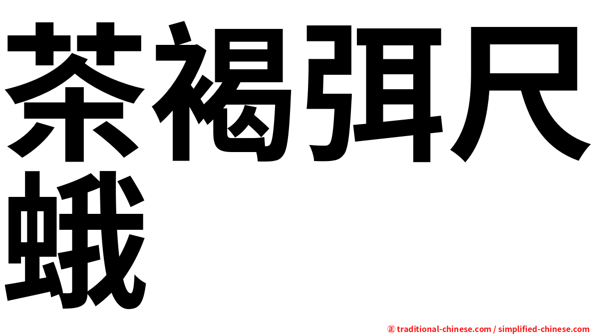 茶褐弭尺蛾