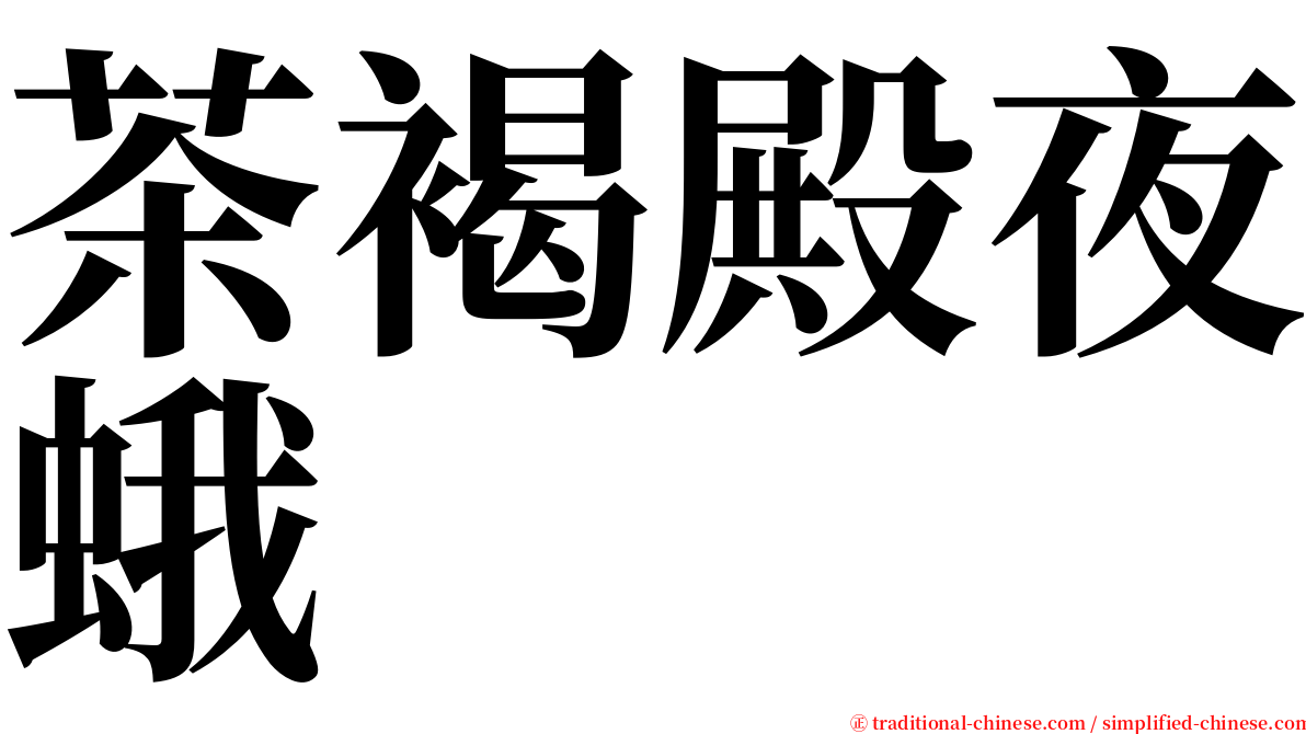 茶褐殿夜蛾 serif font