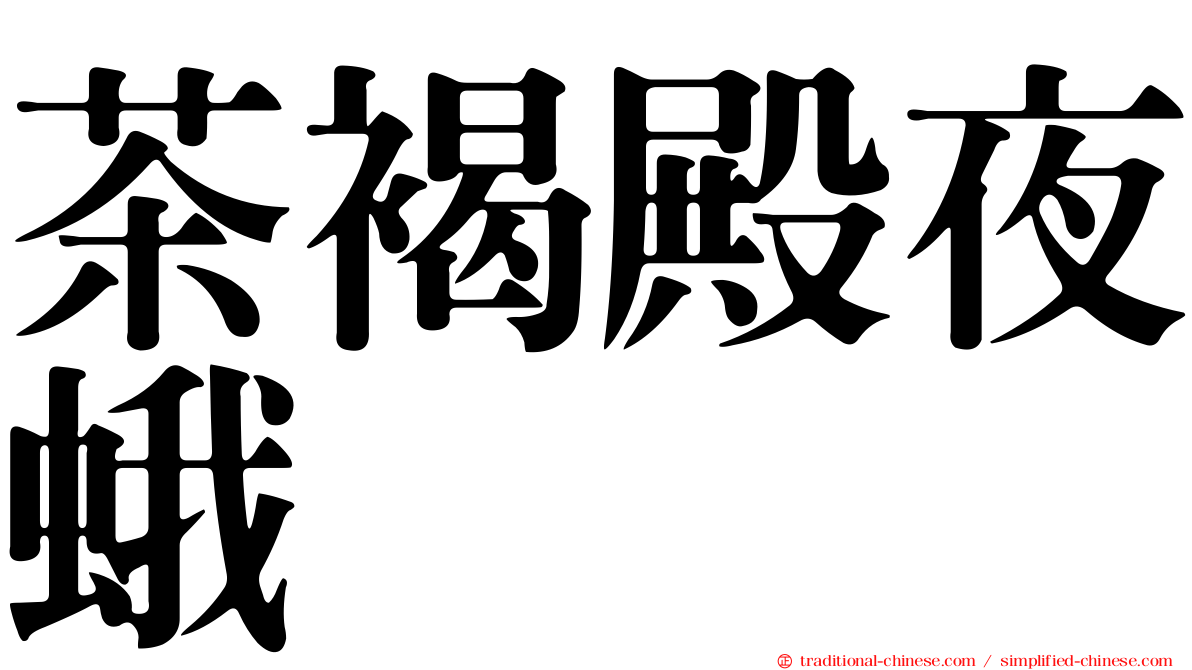 茶褐殿夜蛾