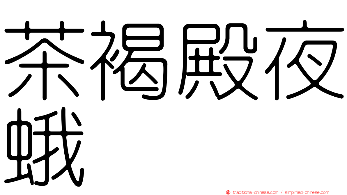 茶褐殿夜蛾