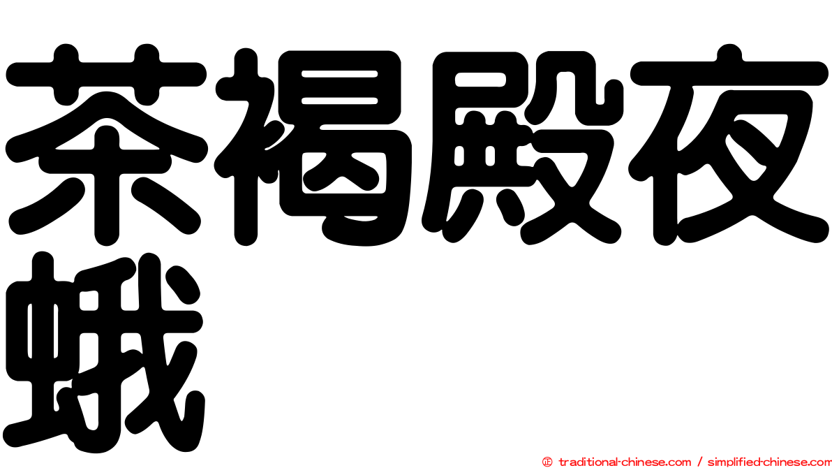 茶褐殿夜蛾