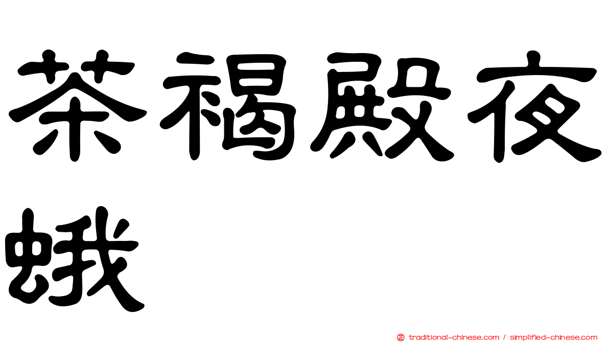 茶褐殿夜蛾